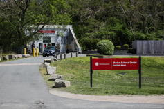 Jill Barrett Undergraduate Nahant Research Program Fund